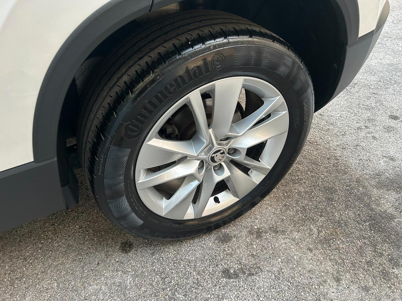 Skoda Karoq 2.0 TDI 150CV DSG 4x4 Ambition