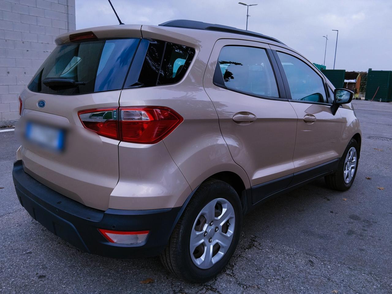 Ford EcoSport 1.0 EcoBoost 100 CV Business