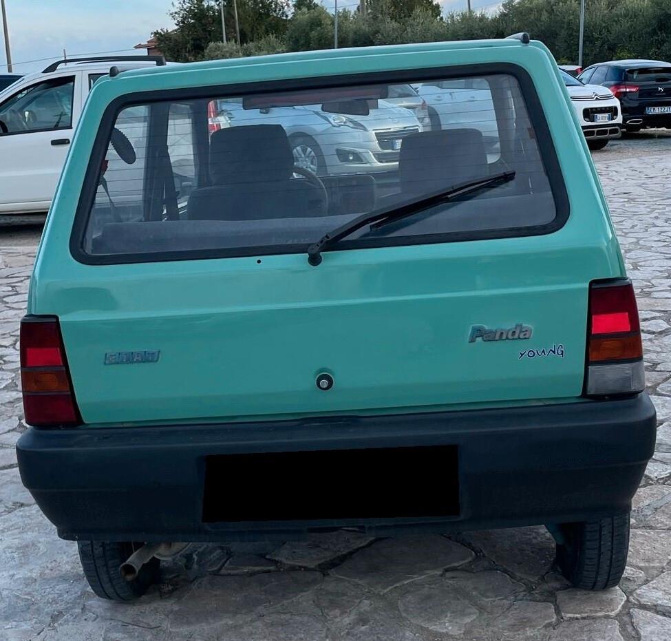 Fiat Panda 1100 i.e. cat Young