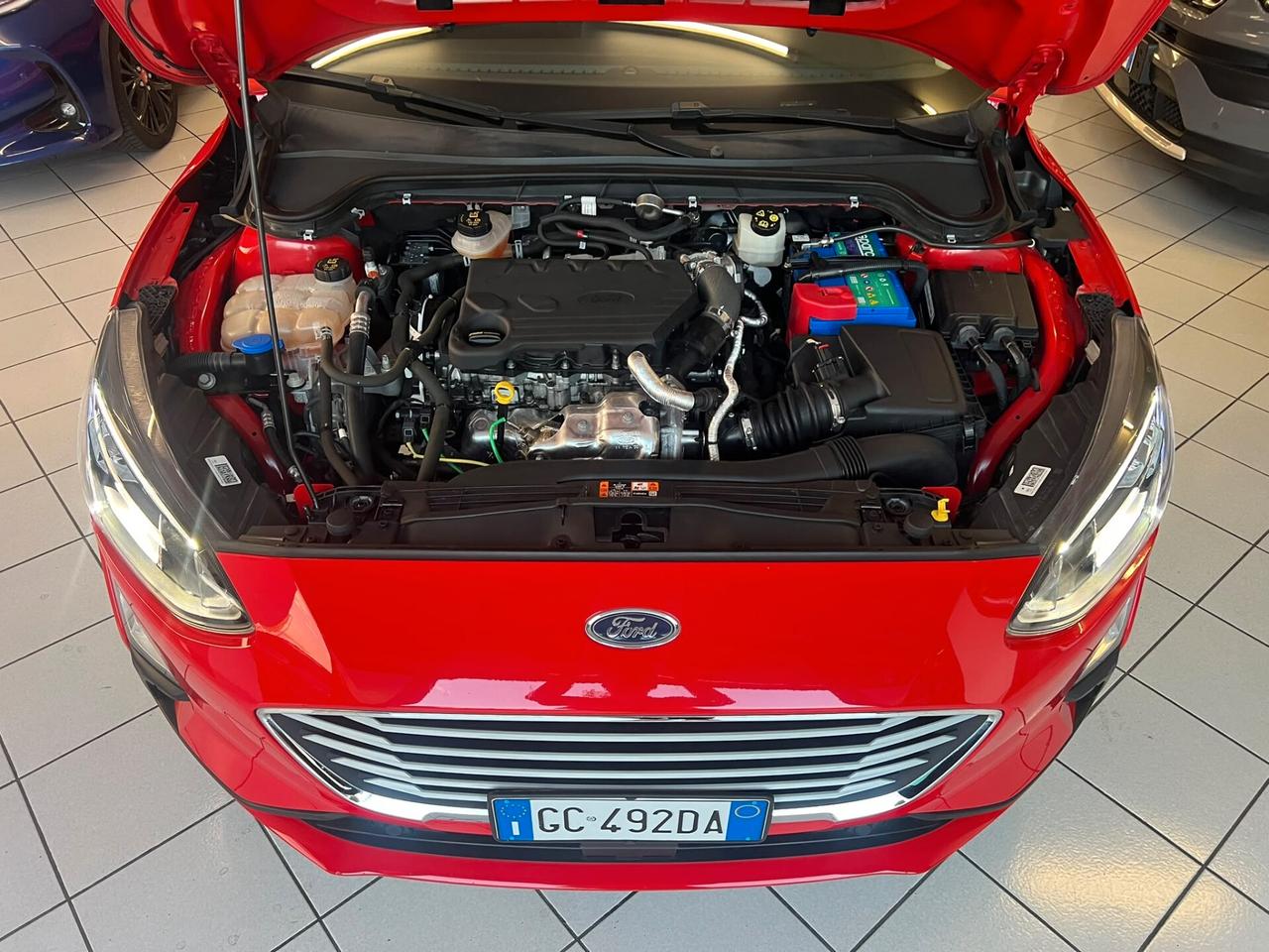 Ford Focus 1.5 EcoBlue 120 CV 5p. ST-Line