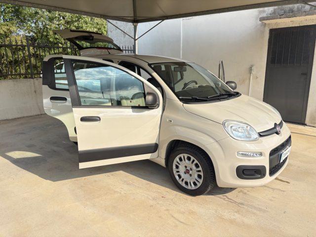FIAT Panda 1.2 Lounge 5 POSTI EURO 6 OK NEOPATENTATI