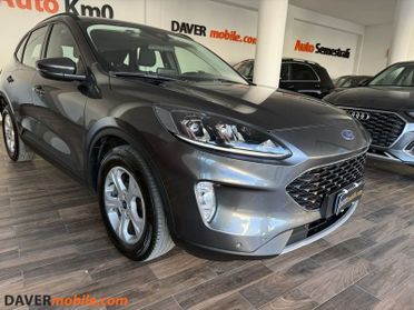 Ford Kuga Kuga 1.5 ecoblue Titanium Business 2wd 120cv