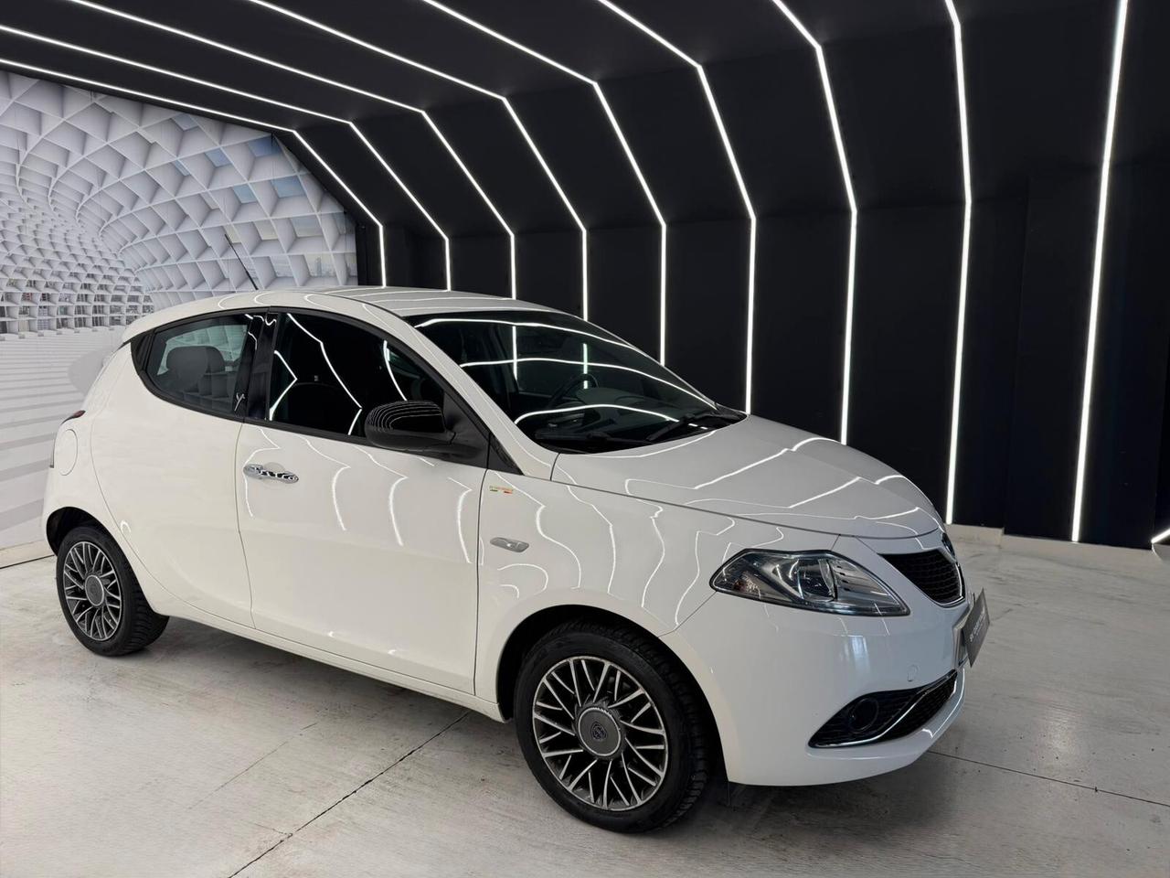 Lancia Ypsilon 1.3 MJT 16V 95 CV 5 porte S&S Platinum-KM CERTIFICATI-PERMUTE-12 MESI GARANZIA