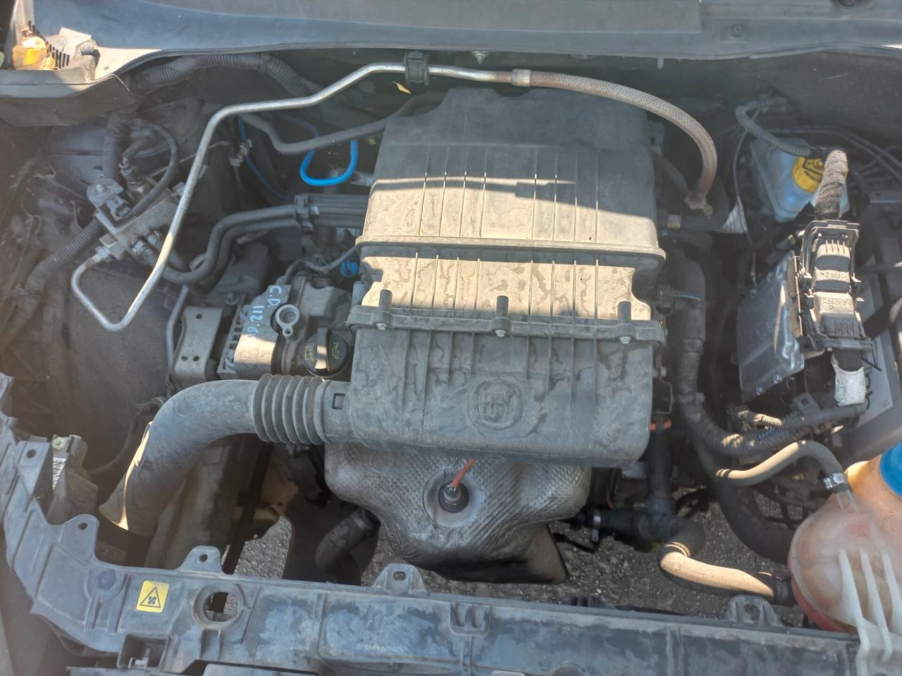Fiat Punto 1.4 8V 5 porte Natural Power Lounge METANO - GRANDINATA