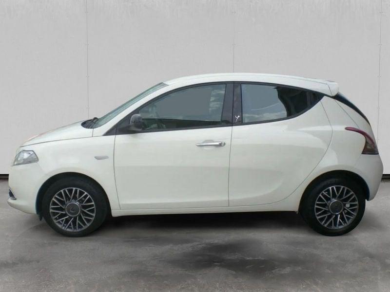 Lancia Ypsilon 1.3 mjt Gold s&s 95cv