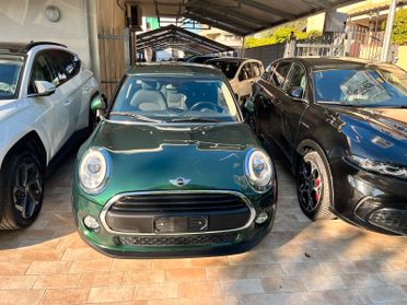 Mini Mini 1.5 One D Hype