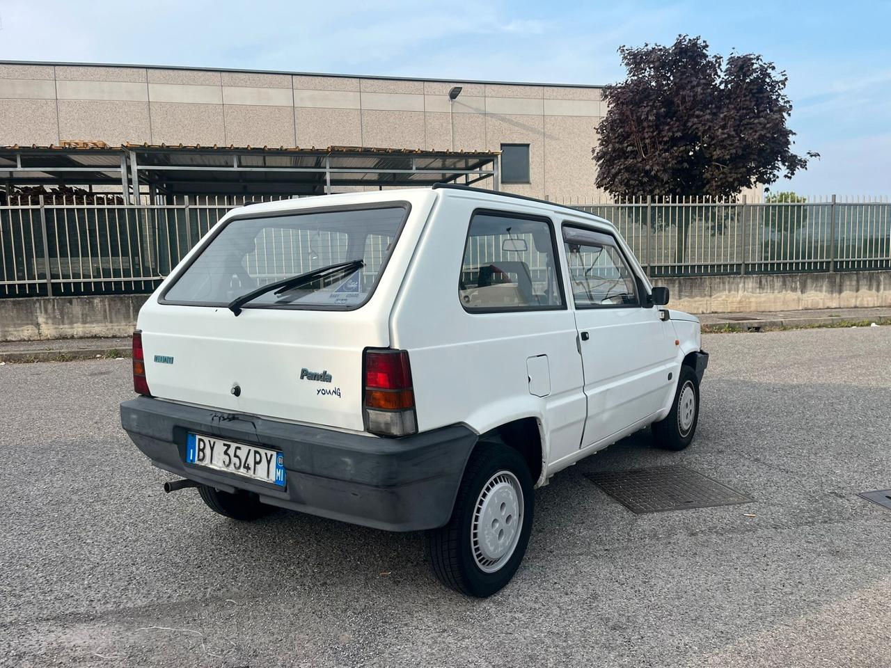 Fiat Panda 1100 i.e. cat Young