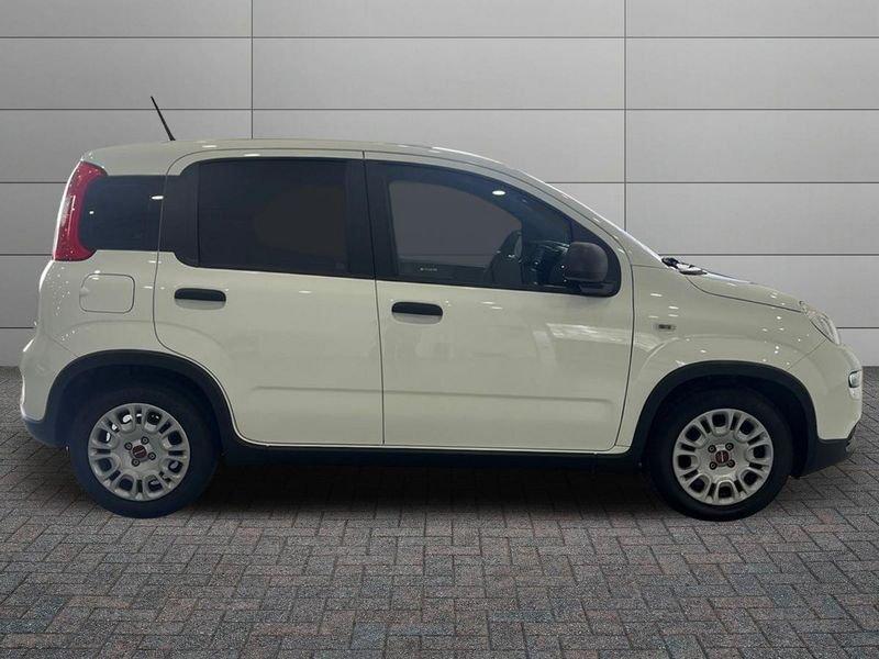 FIAT Panda Panda 1.0 firefly hybrid s&s 70cv