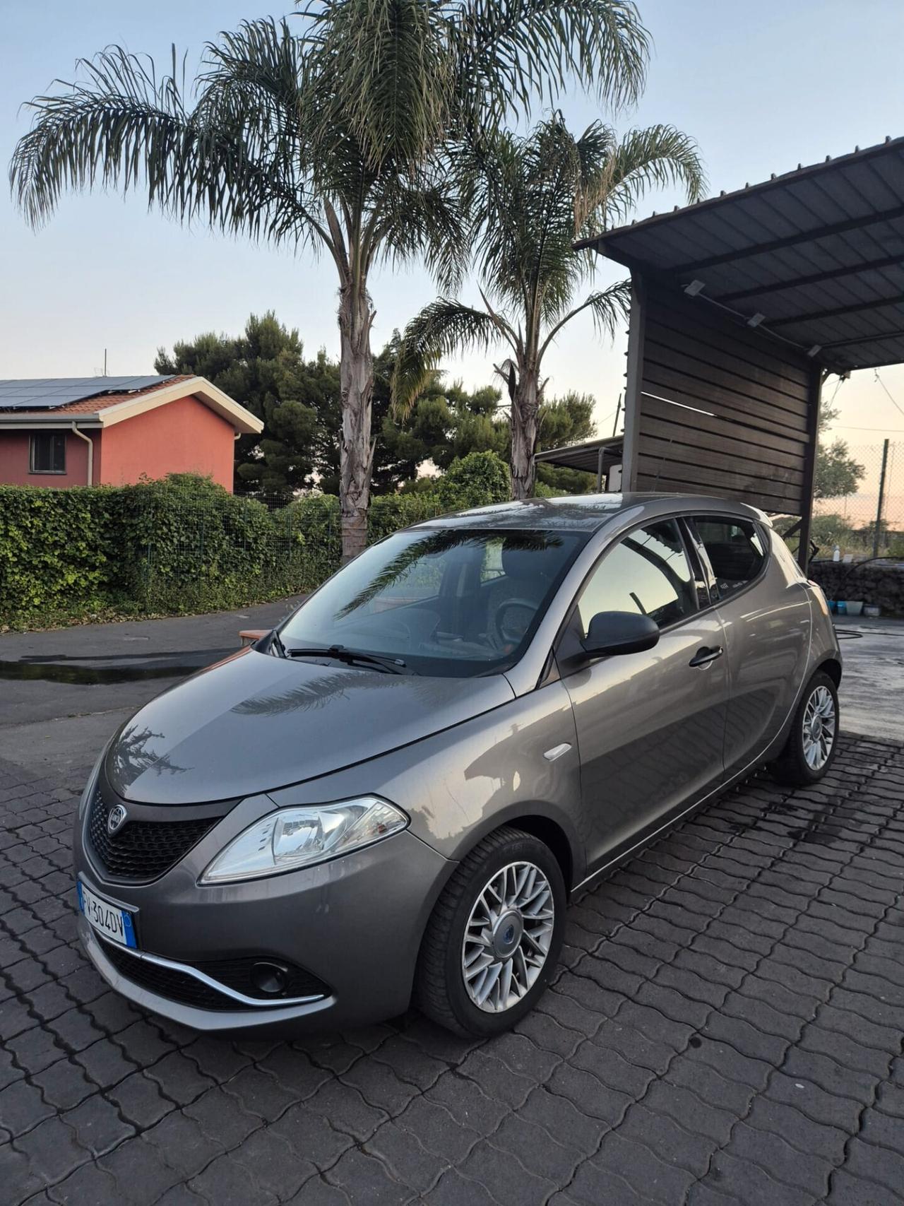 Lancia Ypsilon 1.2 69 CV 5 porte S&S Platinum
