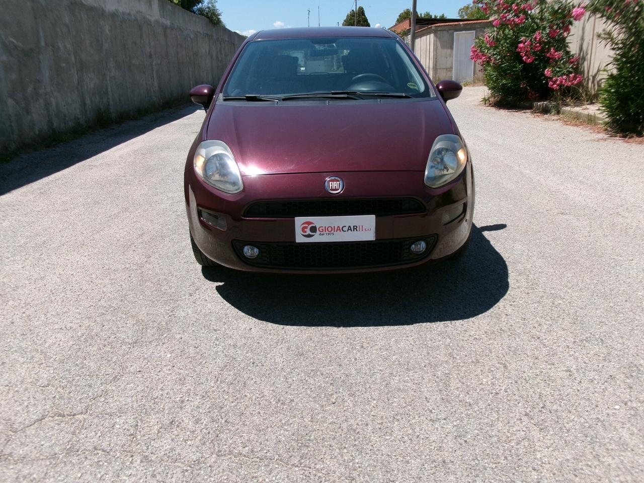 Fiat Punto Evo Punto Evo 1.2 5 porte S&S Active
