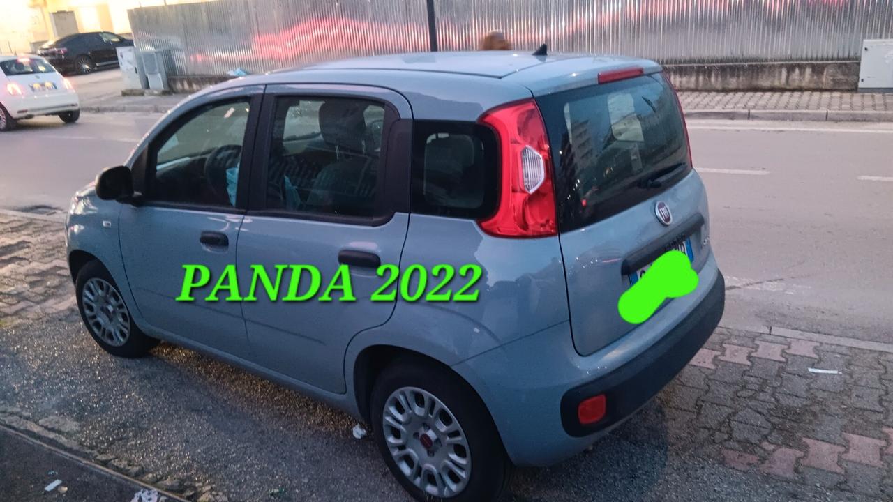 Fiat Panda incidentata sinistrata mondialcars 022