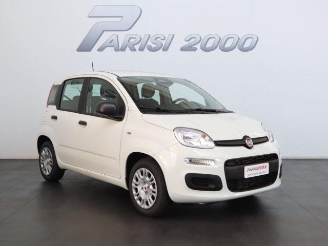 FIAT Panda 1.0 FireFly S&S Hybrid *PROMO PARISI GROUP*