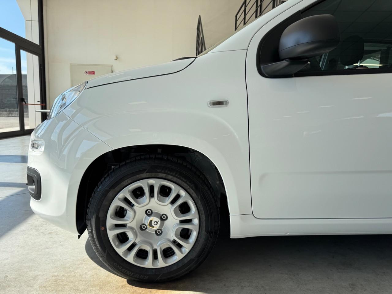Fiat Pandina 1.0 firefly hybrid Icon s&s 65cv