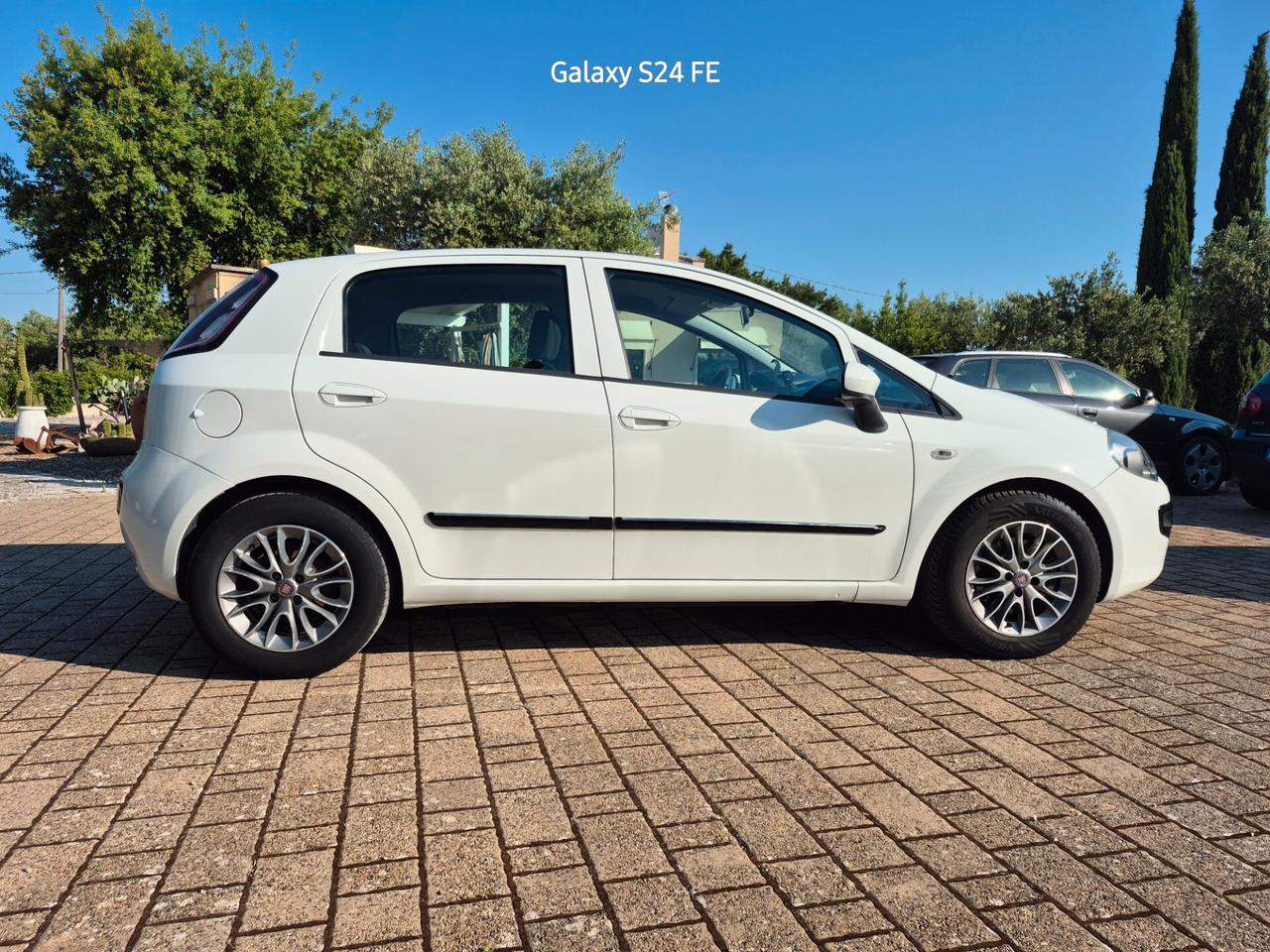 Fiat Punto Evo 1.3 Mjt 75 CV DPF 5 porte S&S MyLife