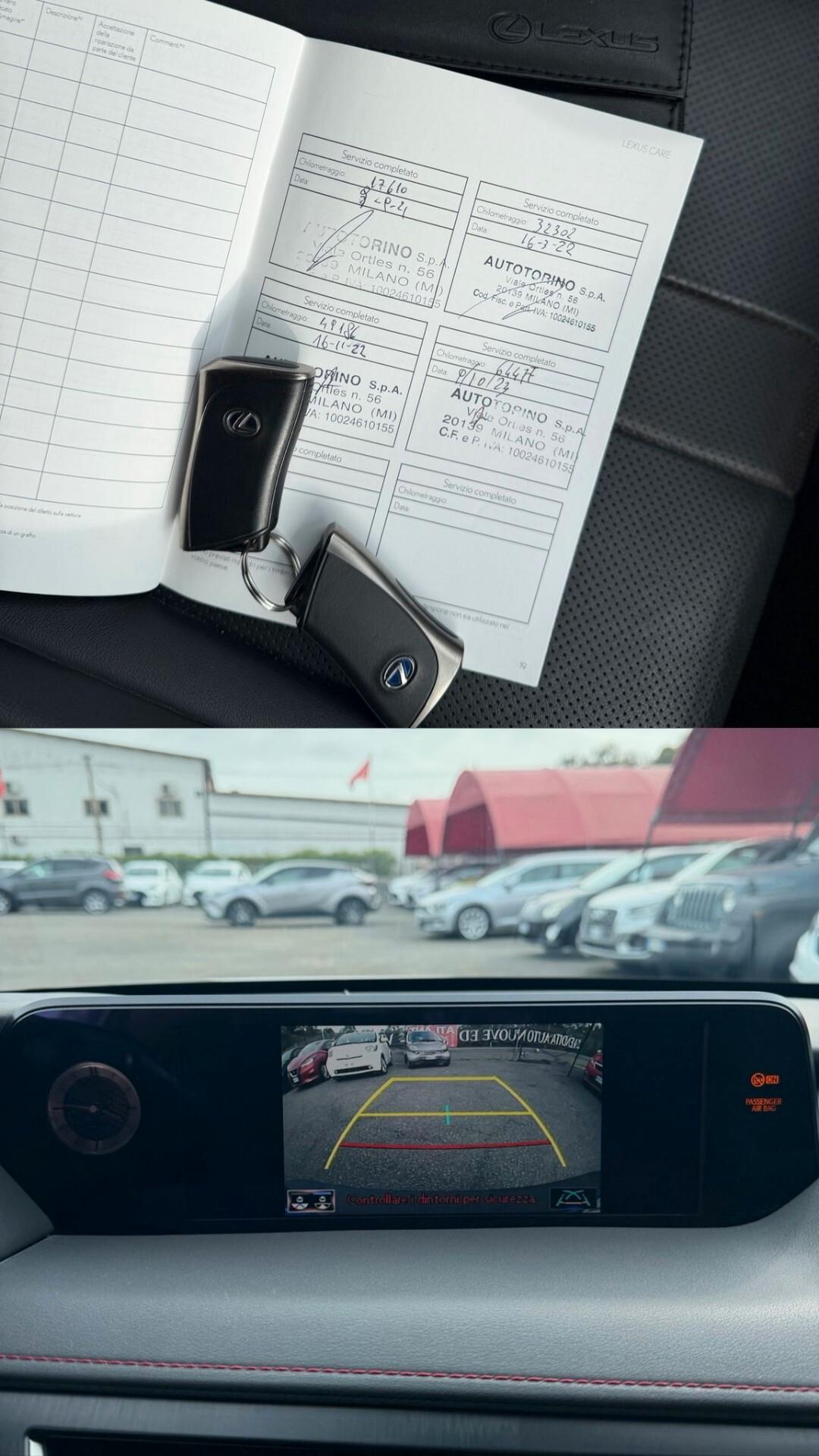 Lexus UX Hybrid 4WD Luxury