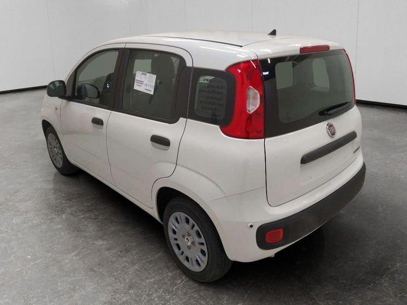 FIAT Pandina 1.0 firefly hybrid Pop s&s 70cv