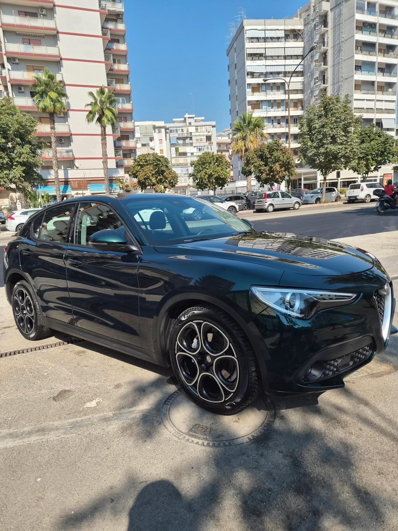 Alfa Romeo Stelvio 2.2 Turbodiesel 160 CV AT8 RWD Business