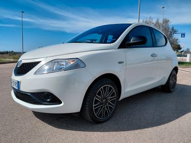 Lancia Ypsilon 1.2 69 CV 5 porte S&S Platinum