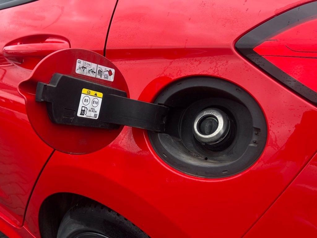 FORD Fiesta 1.0 Ecoboost Hybrid 125 CV 5 porte ST-Line del 2022