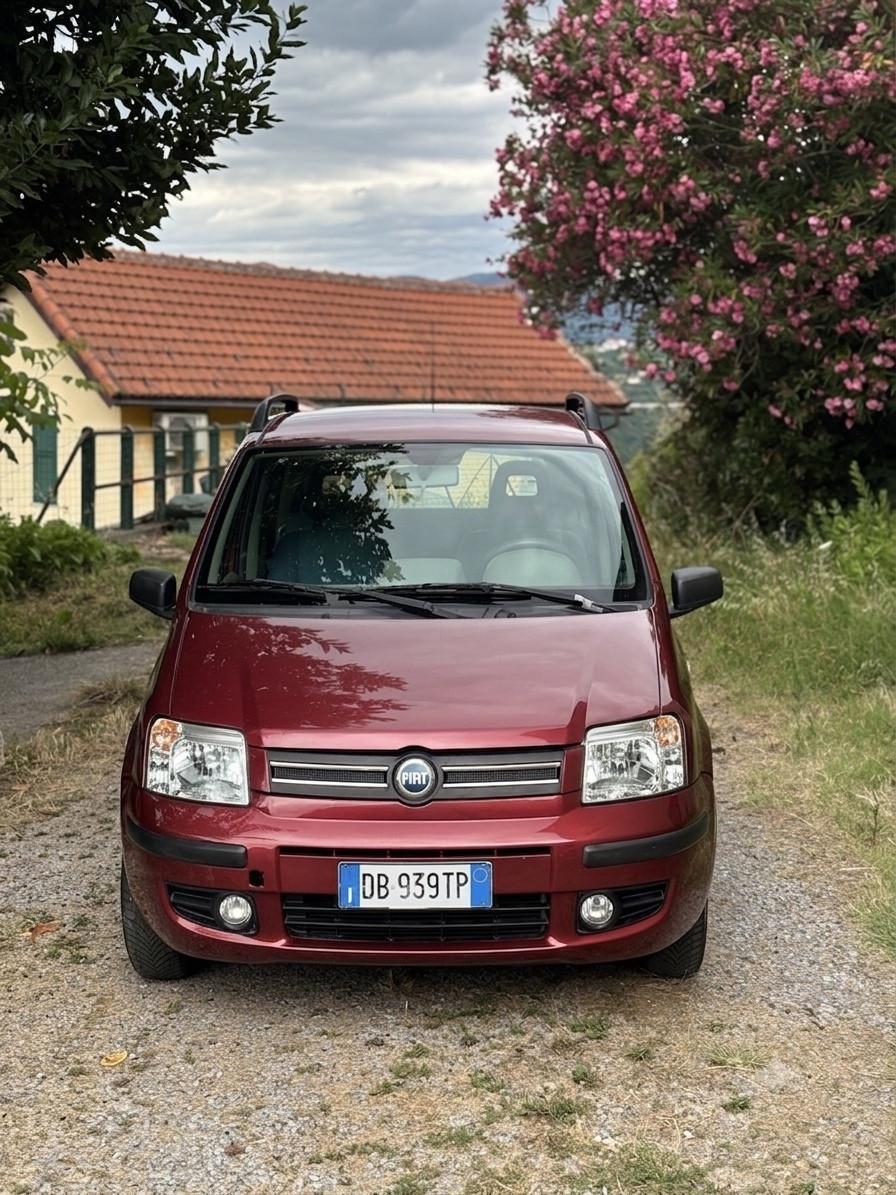 Fiat Panda 1.2 Dynamic OK NEOPATENTATI