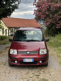 Fiat Panda 1.2 Dynamic OK NEOPATENTATI