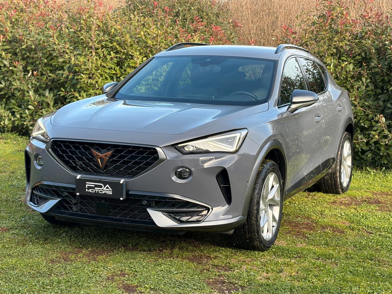 Cupra Formentor 2.0 TDI 4Drive DSG