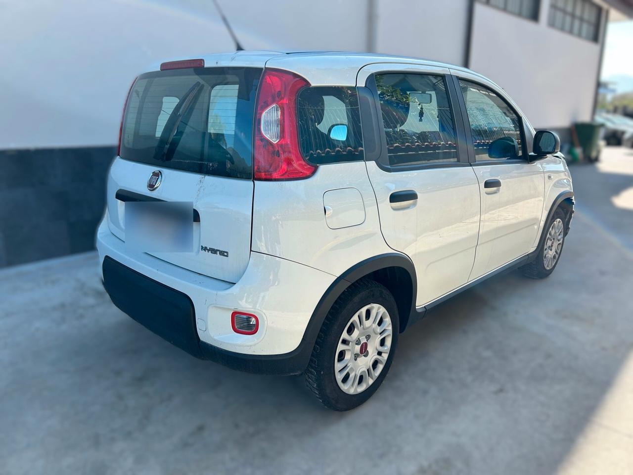 Fiat New Panda 1.0 Hybrid - 2024 Incidentata