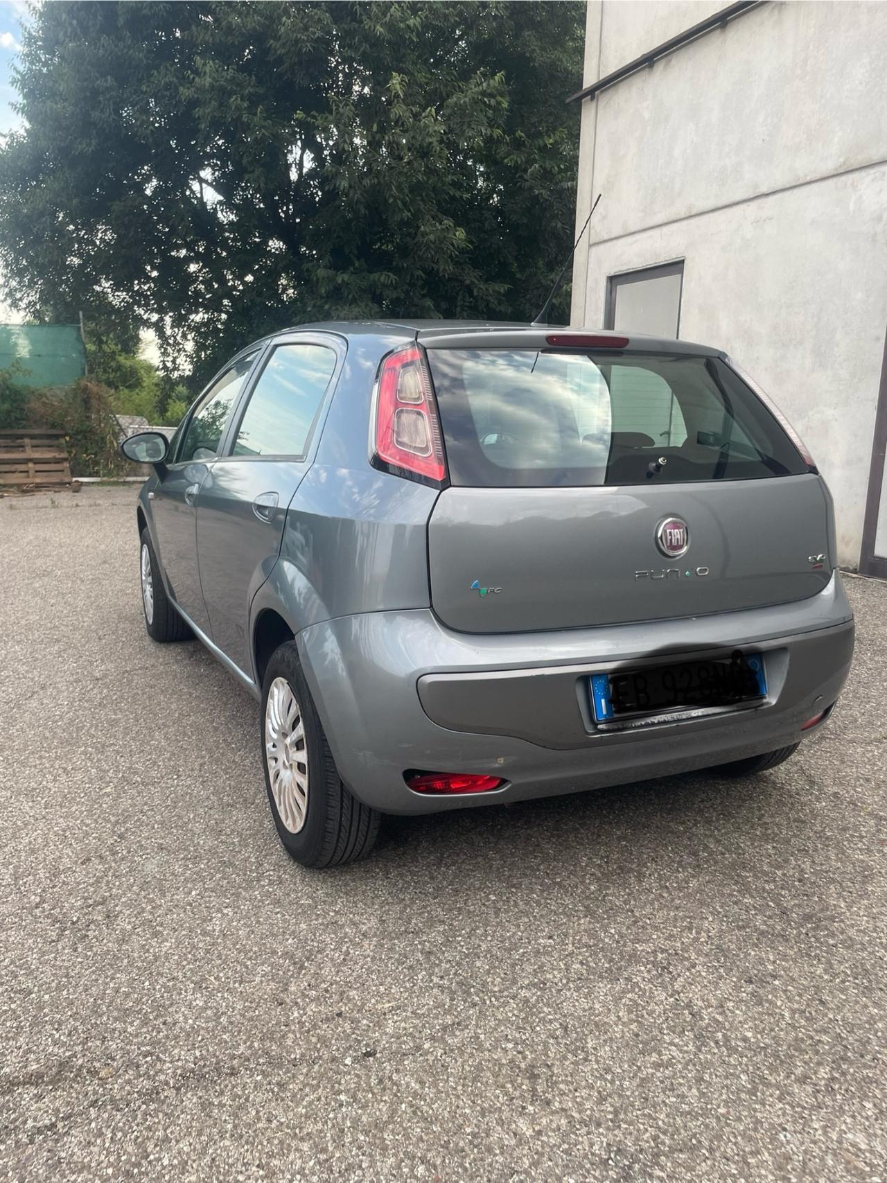 Fiat Punto Evo Punto Evo 1.4 5 porte Active Natural Power