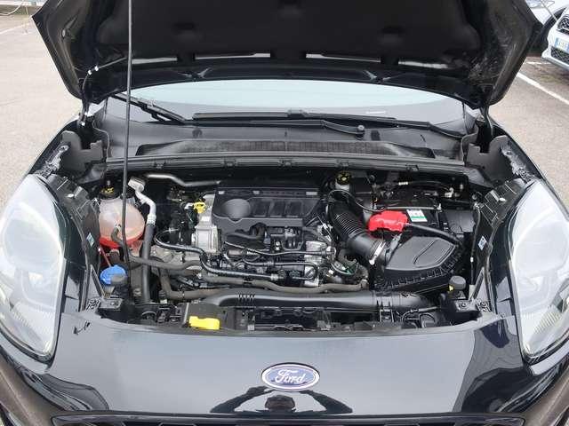 Ford Puma Puma II 2020 1.0 ecoboost hybrid ST-Line s&s