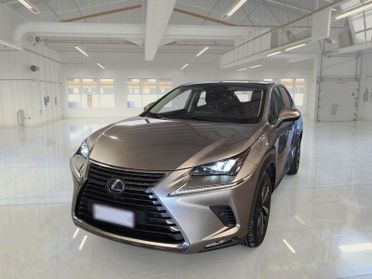 LEXUS NX Hybrid Luxury 4WD