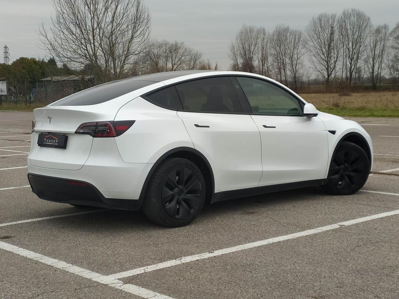 Tesla Model Y Standard Range / Standard #9113