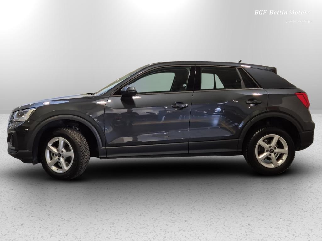 Audi Q2 35 2.0 tdi Business s-tronic