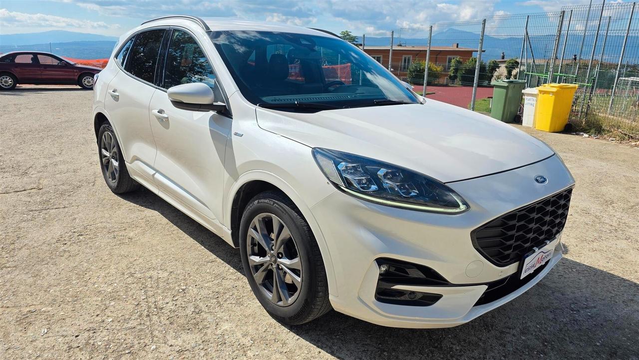 Ford Kuga 1.5 EcoBlue 120 CV aut. 2WD ST-Line X