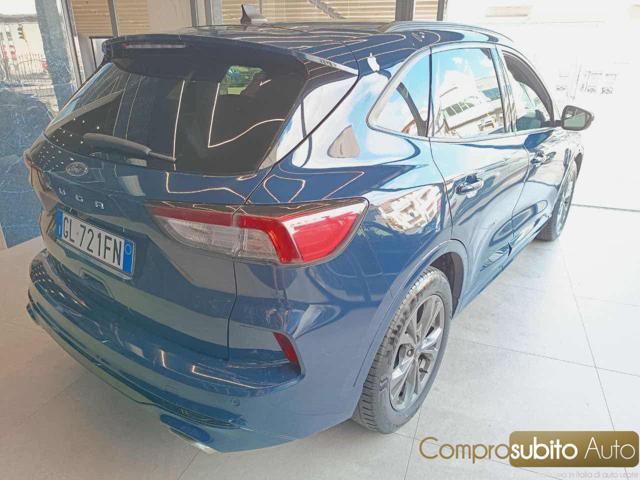 FORD Kuga 1.5 EcoBlue 120 CV 2WD Titanium Business