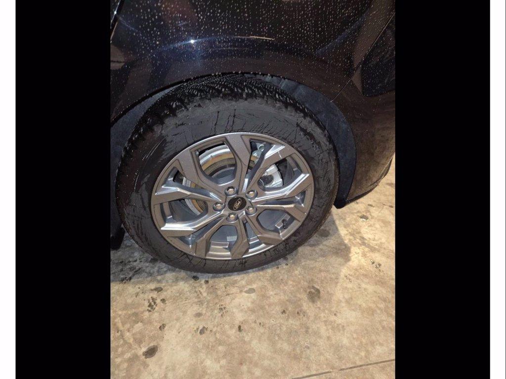 FORD Focus 1.5 ecoblue st-line 115cv auto del 2024