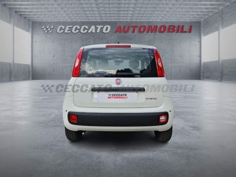 FIAT Panda Panda 1.0 70cv Hybrid Pop