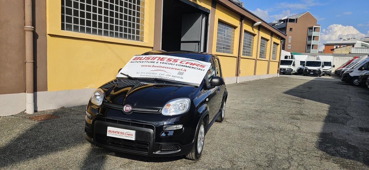 Fiat Panda 1.0 FireFly S&S Hybrid 70 CV KM. 15000 PRONTA CONSEGNA - AUTO PER NEOPATENTATI