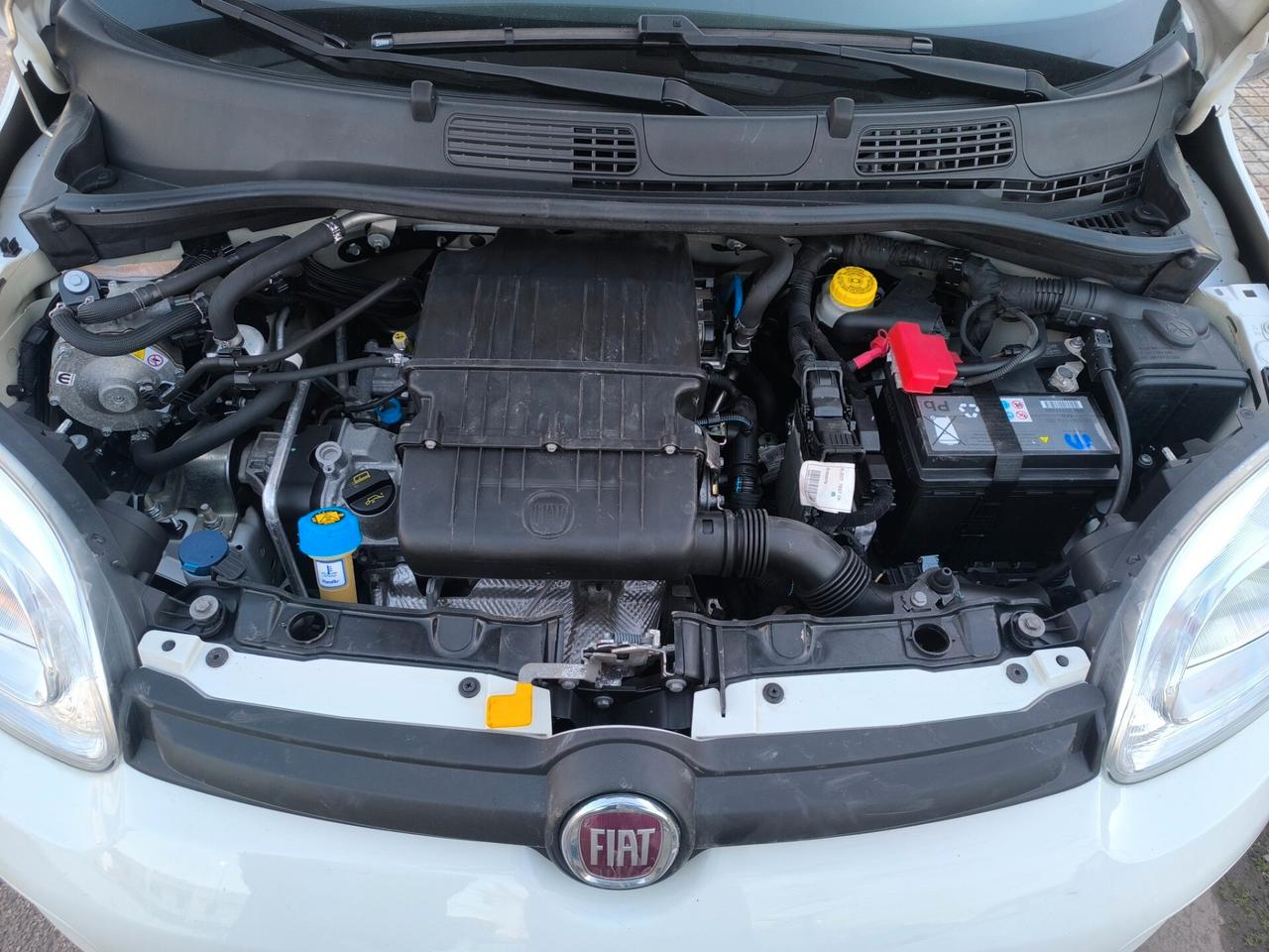 FIAT PANDA GPL CITY LIFE 04/2021 KM 59.000