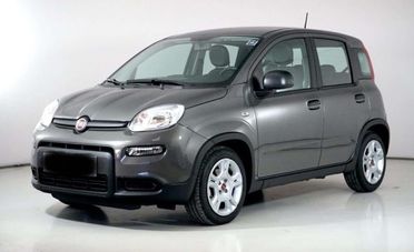 Fiat Panda 1.0 FireFly S&S Hybrid AUTO A NOLEGGIO