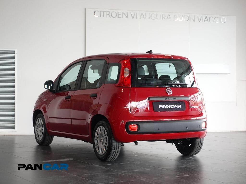 Fiat Panda 1.0 FireFly S&S Hybrid PREZZO REALE