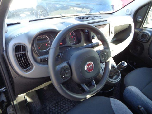 FIAT New Panda 1000 HYBRID CITY CROSS PLUS 70CV CARPLAY CLIMAUTO