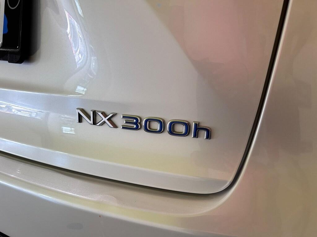 Lexus NX 300 300 2.5 Hybrid Luxury 4WD CVT