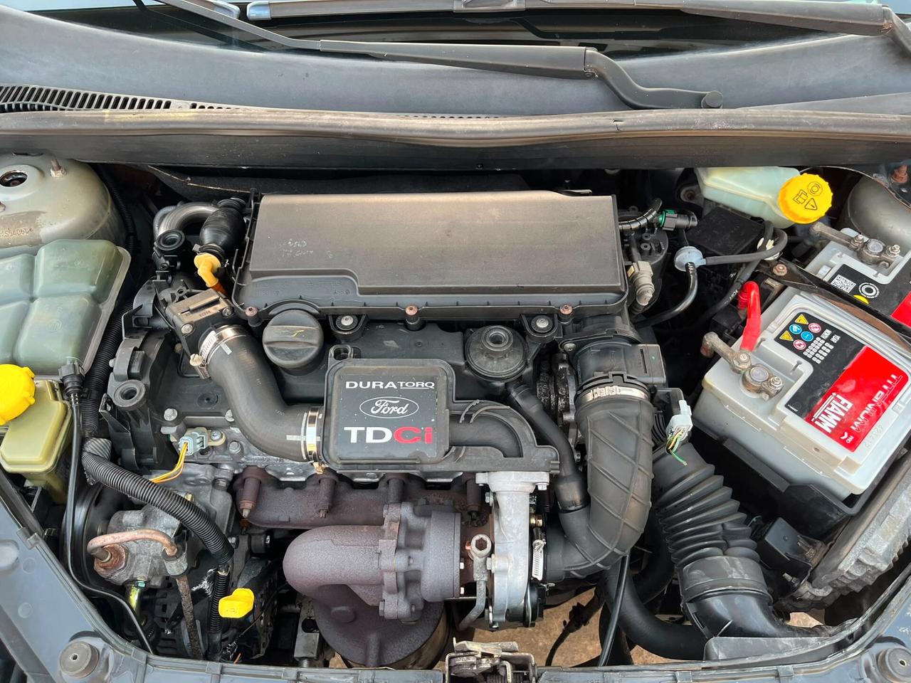 Ford Fiesta 1.4 TDCi - IDEALE X NEOPATENTATI - 2005