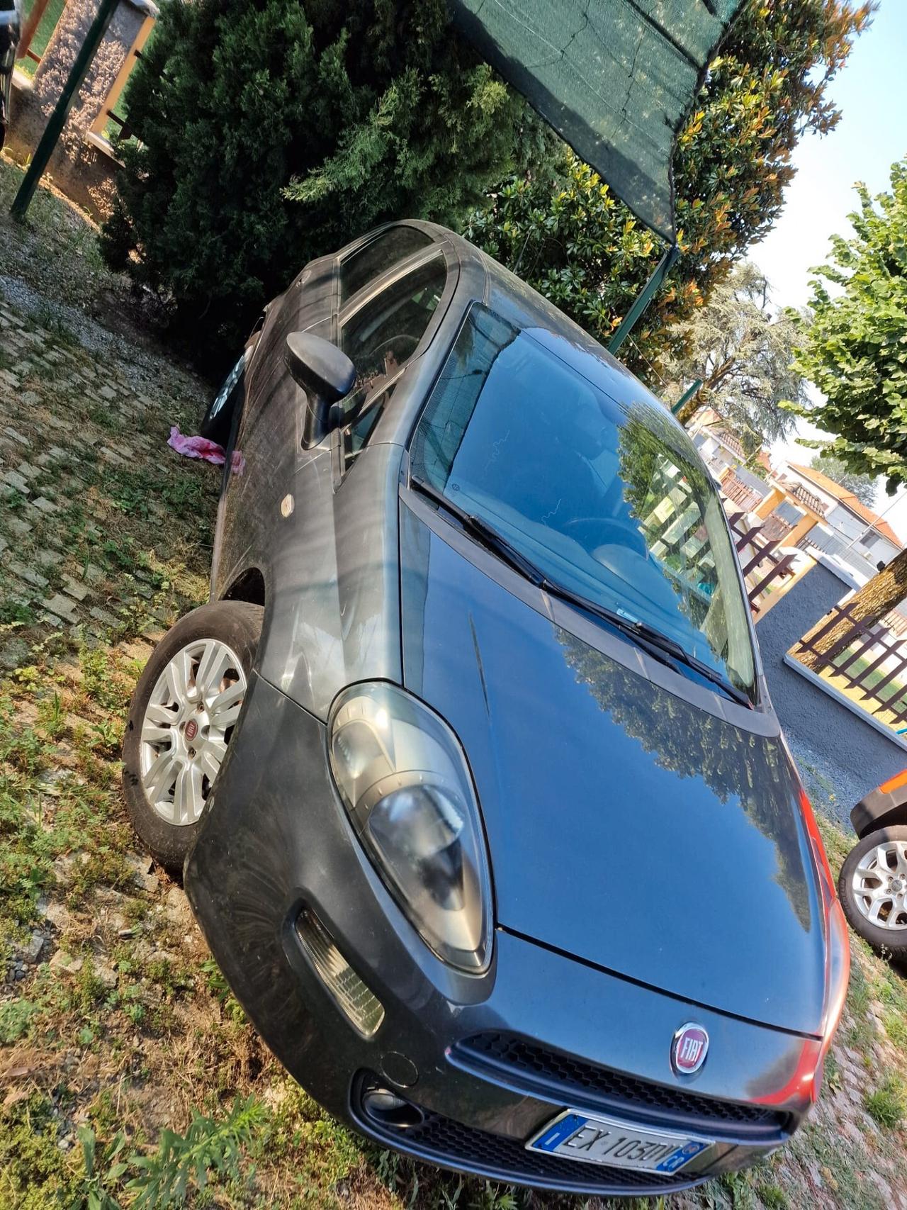 Fiat Punto 1.3 MJT II 75 CV 5 porte Lounge AUTO DESTINATA A COMMERCIANTI E OPERATORI DEL SETTORE