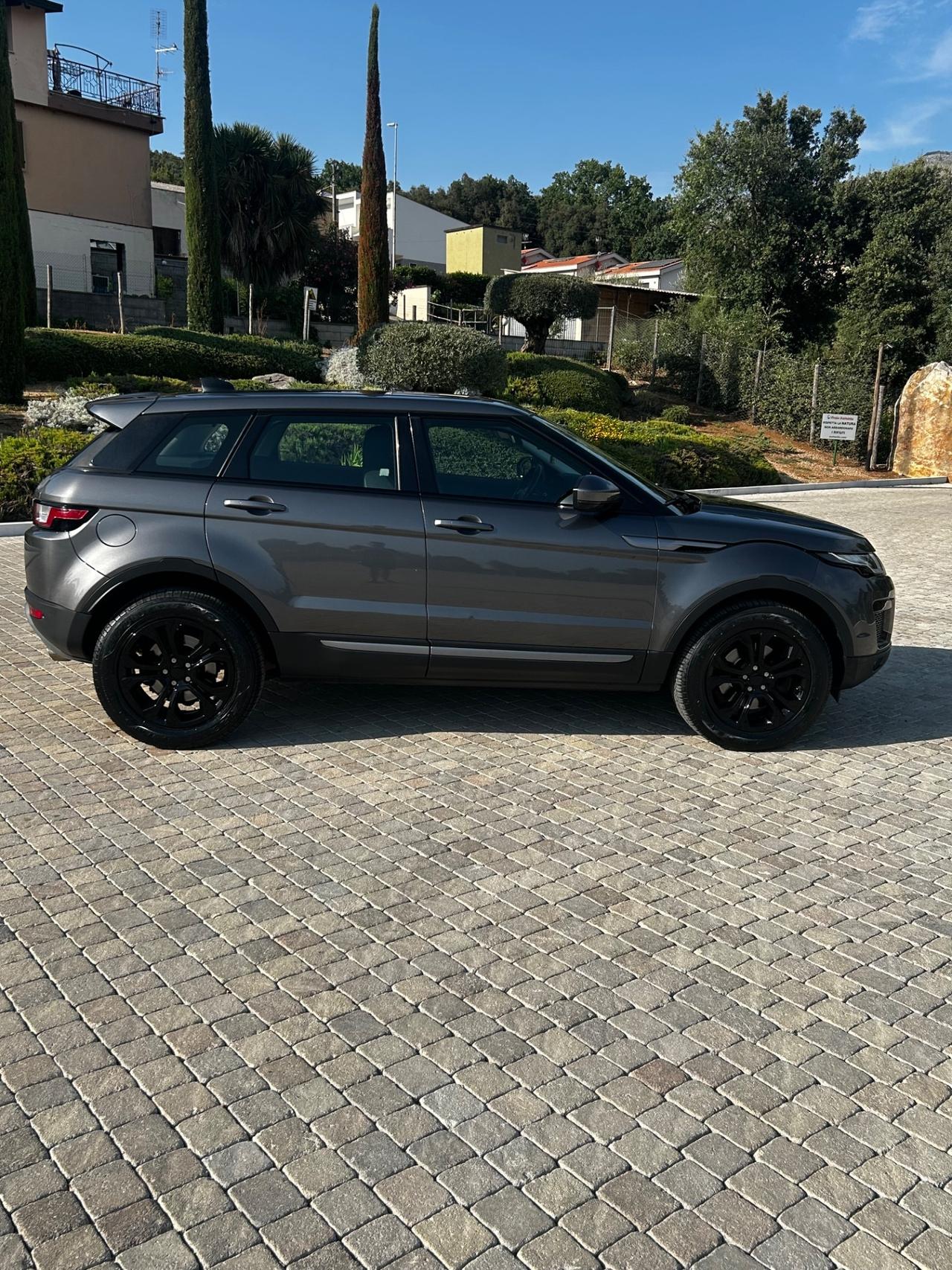 Land Rover Range Evoque 2.0 TD4 150 CV 5p. Business Edition Pure