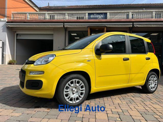 FIAT Pandina PROMO FINANZIAM 1.0 FireFly 65 CV Hybrid Pop KM 0