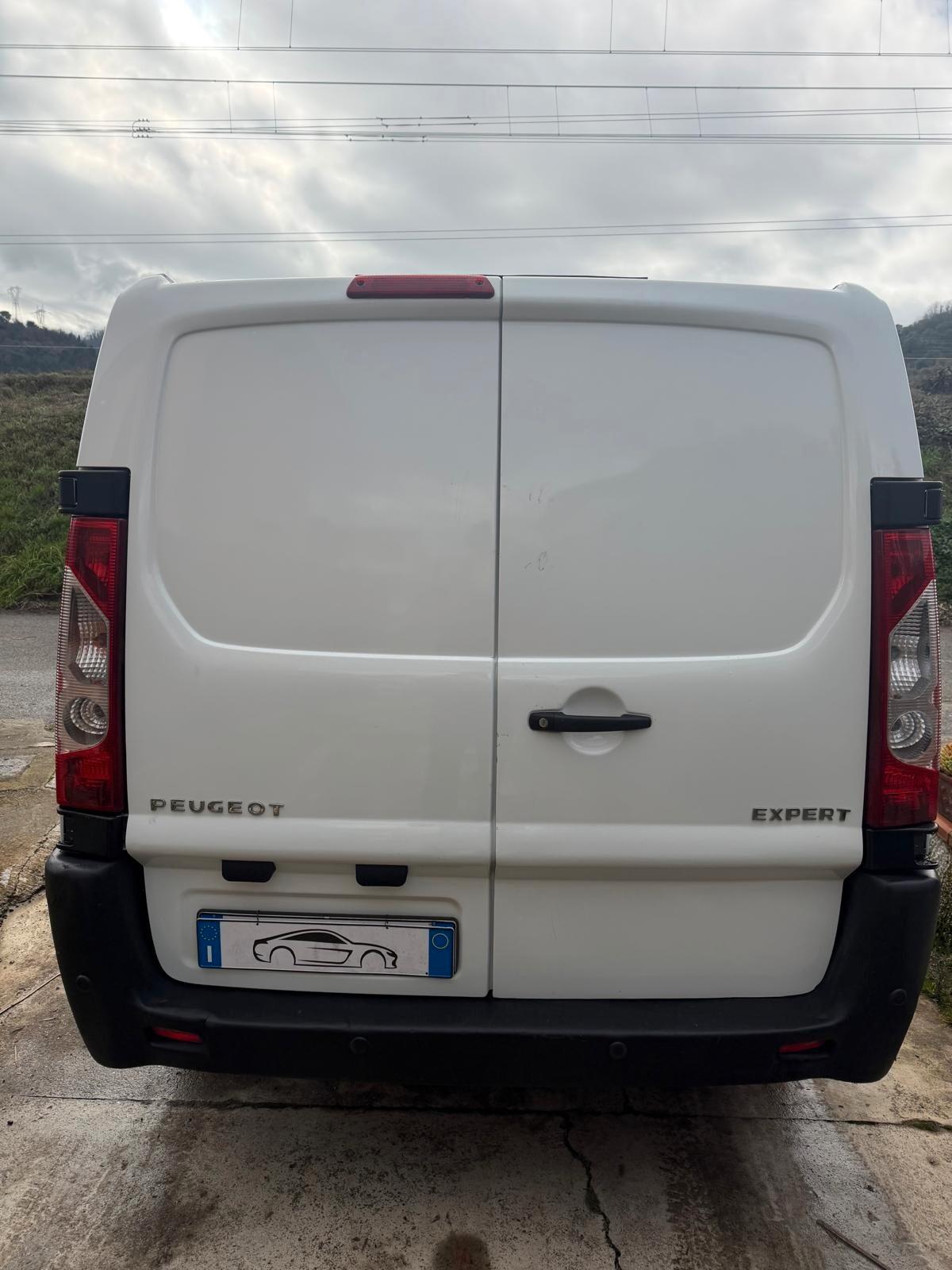 Peugeot Expert 2.0 HDi 120CV PC-TN 12Q Furgone