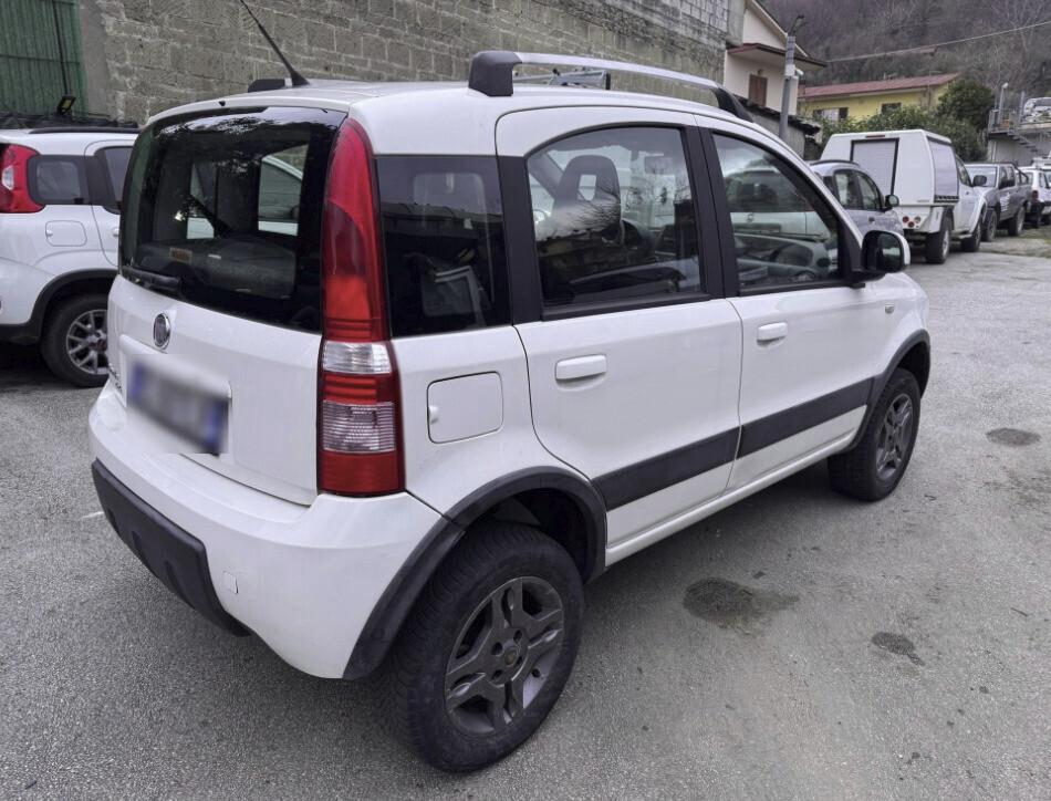 Fiat Panda 1.3 MJT 16V DPF 4x4 Climbing