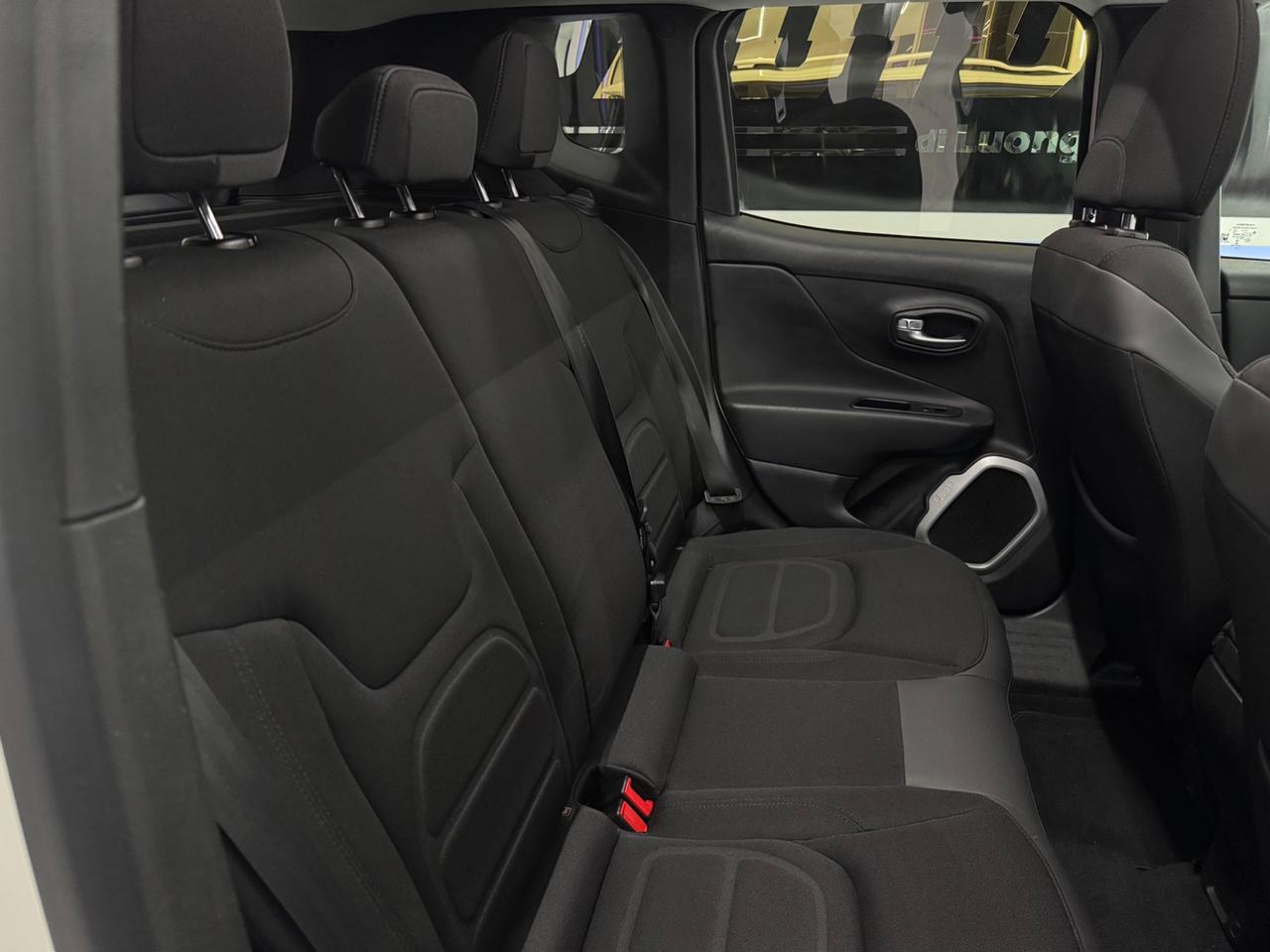 Jeep Renegade 1.6 Mjt 120Cv Limited-Tetto