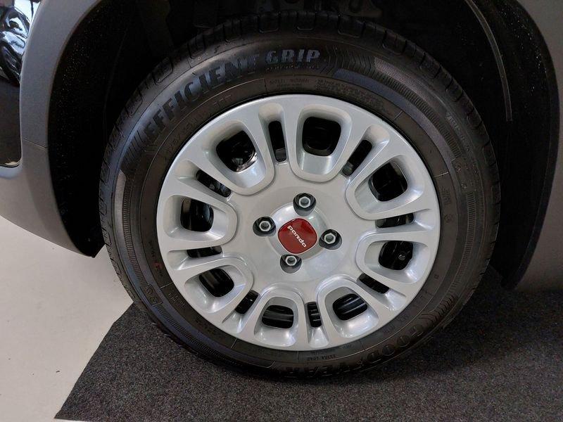 FIAT Panda 1.0 FireFly Hybrid con Radio BT
